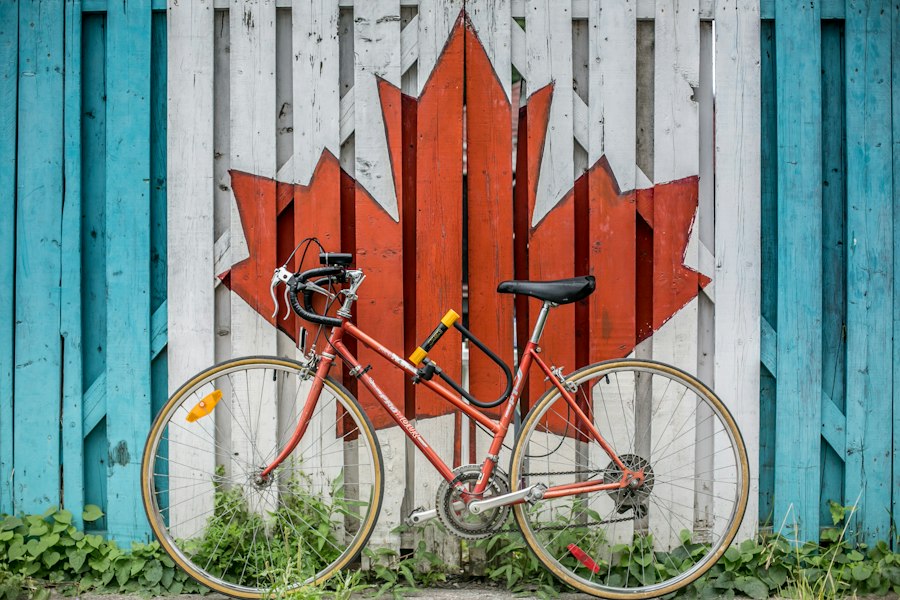 From Bean to Bliss: The Art of Crafting Psilocybin Chocolate in Canada