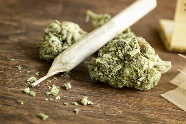 cannabis training