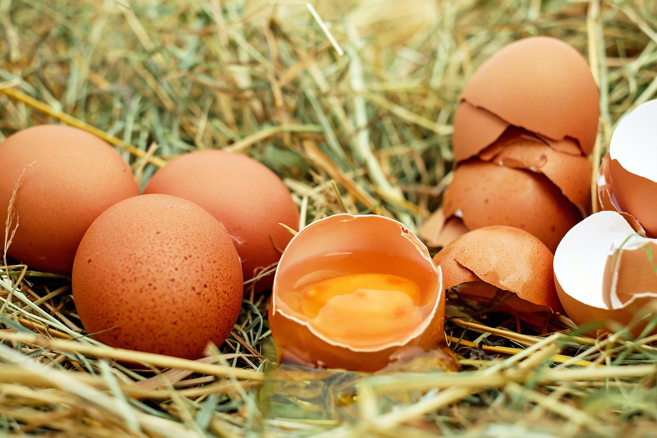 How to Find a Qualified Egg Donor in San Diego: What Intended Parents Need to Know