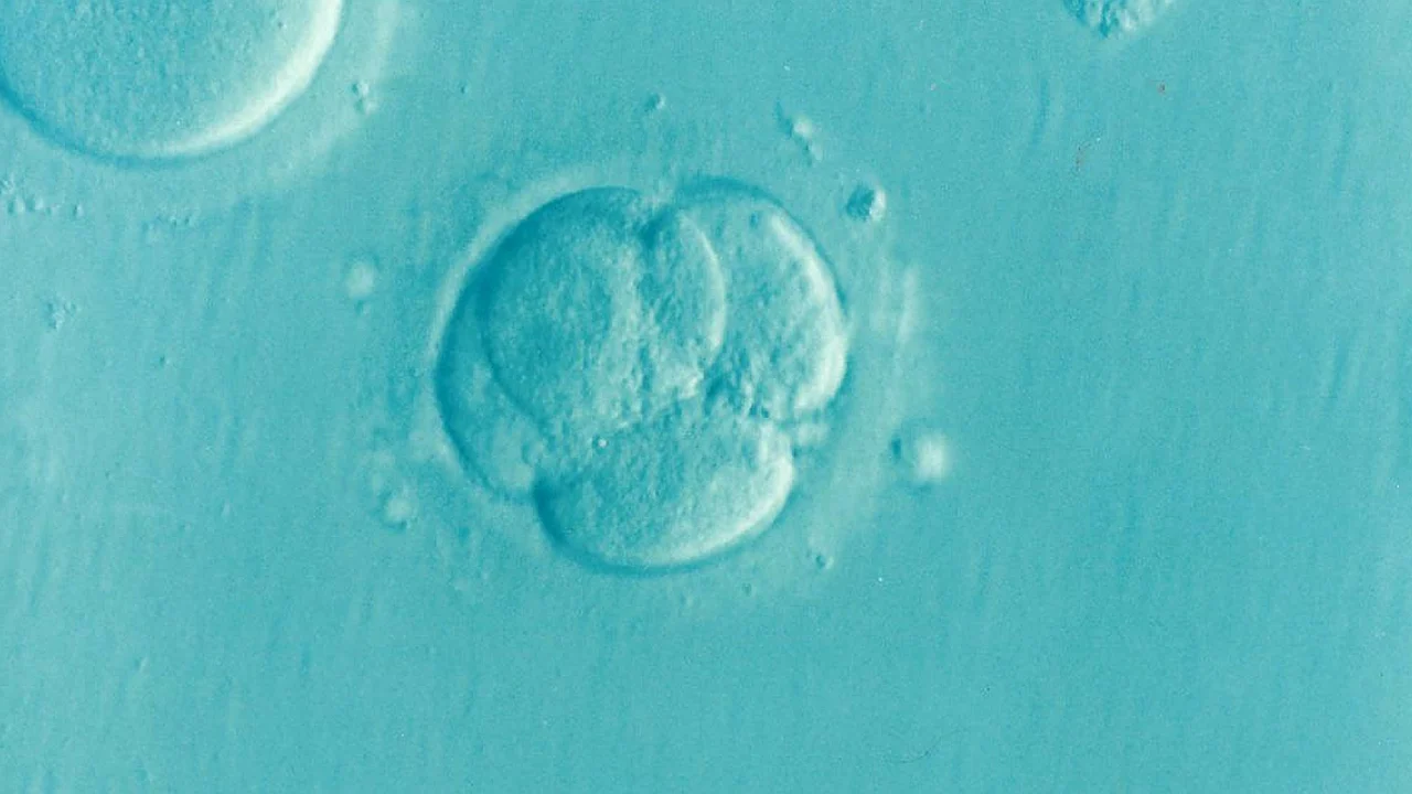Unexplained Infertility: Why Some Couples Struggle to Conceive and What to Do